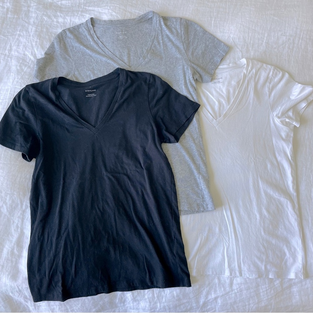 Everlane V neck Organic Cotton T Shirts